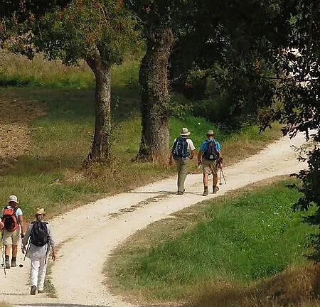La Des Muriers Tres Spacieuse Dans Un Environnement Calme